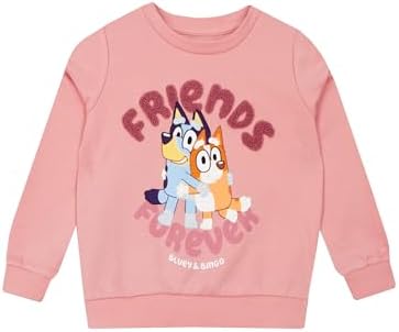 Bluey Sweater | Girls Sweatshirts | Bingo Sweatshirts for Girls