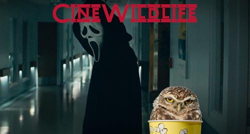 Cine Wildlife - Sangue, urla e maschere: l’evoluzione degli Slasher Movie da Halloween a Scream Podcast Por arte de portada