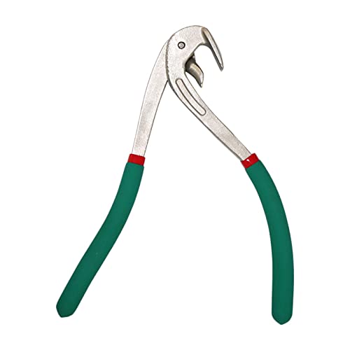 o Ԃ̃fgCc[AfgGbWvC[Aԃ{fBvC[/Ԃ̃hAplCc[/Ԃ̃tF_[pl[tGbWvC[AoCX