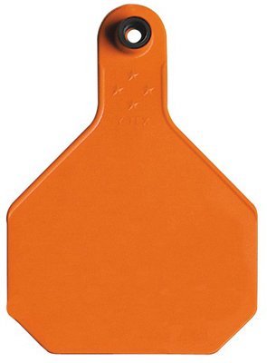 Y-Tex Large Blank Plastic 2-Piece Ear Tag