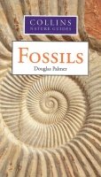 Hamlyn Guide to Fossils 0753717891 Book Cover