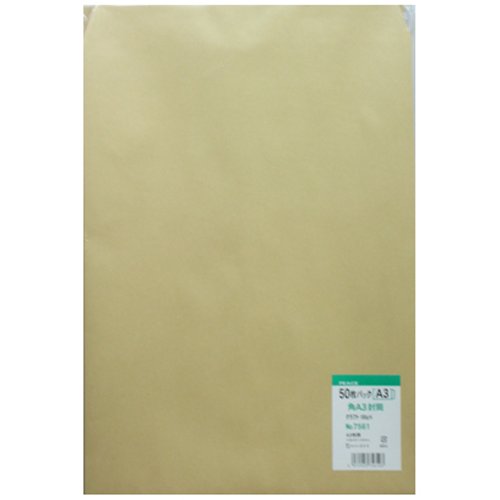 t  7561 pA3Ntg 50pbN 100g/m2 O[w@K R40Đgp