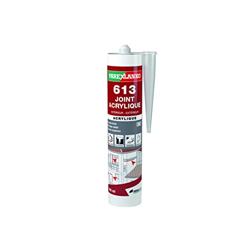 Parexlanko L613BLANC300-12 Masilla acrílica Interior y Exterior, Blanco