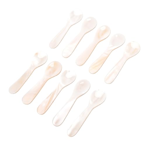 Cucharas pequeñas de concha natural blancas, artesanía sofisticada para servir 2