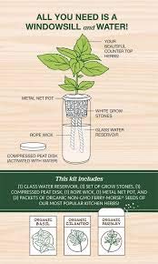 Self-Watering Organic Herb Kit