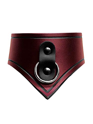 Andracor - handgearbeitetes Sklaven-Halsband aus echtem Leder - Rot - LARP, Wikinger, Fantasy, Mittelalter & Steampunk Cover