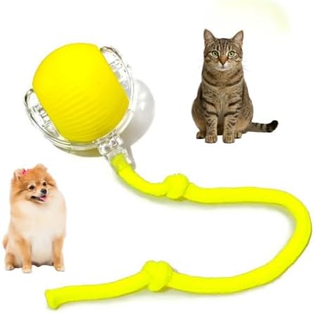 PAWPAL Interactive Cat Toy Ball for Cats and Small Dogs, Automatic Self-Moving Electric Rolling Ball with Catnip, 360° Smart Motion, Fast Rolling Interactive Toy for Indoor and Outdoor (Yellow)