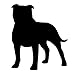 Desconocido Vinilo de Corte Pegatina Silueta American Staffordshire 10x8,5cm (Negro)