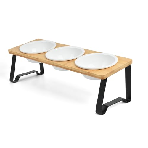 LINECY L H HX^h ΂ a M Ĥ a ё ybg t[h{E   Hׂ₷ W^ M3