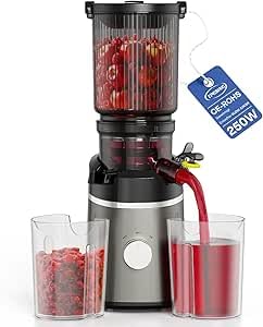 TPGSING Entsafter Slow Juicer mit 130mm Großer Einfüllschacht, 250W Geräuscharmer DC-Motor Elektrische Saftpresse, Entsafter Gemüse und Obst Testsieger für Ganze Gemüse und Obst Leichte mit 2 Tassen TPGSING Entsafter Slow Juicer mit 130mm Großer Einfüllschacht, 250W Geräuscharmer DC-Motor Elektrische Saftpresse, Entsafter Gemüse und Obst Testsieger für Ganze Gemüse und Obst Leichte mit 2 Tassen