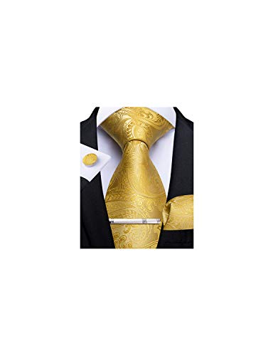 Image of DiBanGu Paisley Ties for Men Silk Necktie and Pocket Square Cufflinks Tie Clip Set Woven Classic Mens Tie for Wedding Party