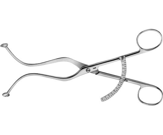 ぶるうさま専用 並木一 「醍醐桜(岡山県)」 木版画 直筆サイン