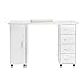 Kcelarec Manicure Nail Table for Technician,Acetone Wooden Manicure Nail Desk Spa Beauty Salon Table w/Cabinet, Drawers, Controllable Wheels & Client Wrist Pad