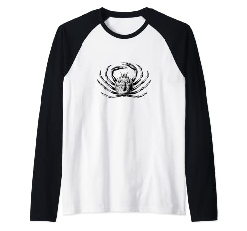 Cool Vintage Náutico Océano Playa Cang Camiseta Manga Raglan