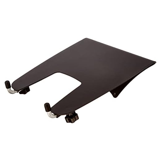 AmazonBasics Notebook Laptop Stand Arm Mount Tray