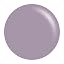 Beige Brown