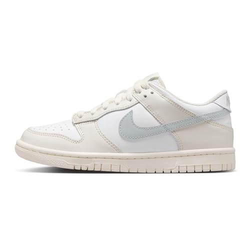 Nike Dunk Low Big Kids' Shoes (FB9109-109, White/Phantom/Light Silver) Size 6.5