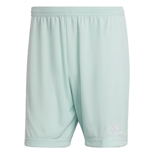 Adidas Homme Entrada 22 Shorts, Clear Mint, S