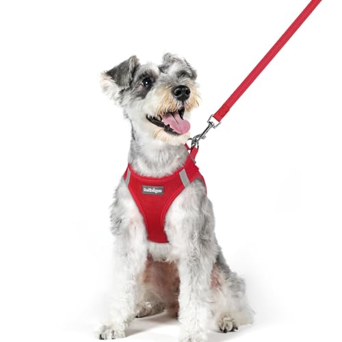 Image of rabbitgoo Dog Harness Medium Sized and Leash Set, Step-in Puppy Pet Vest