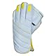 DSC Condor Flite Cricket Wicket Keeping Gloves | Color: White | Size: Mens | for Boys & Mens | Material: Leather | Better Flexibility and Grip | Full Protection