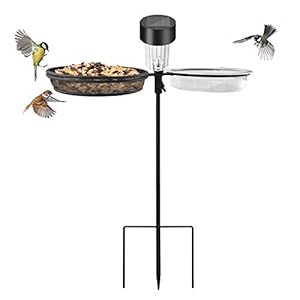 Taylor & Brown Solar Bird Feeding Station Pole Feeder and Bath Metal Mesh Tray Spa for Dual Use Flower Stand Pot Heavy-Duty Great for Attracting Wild Bird