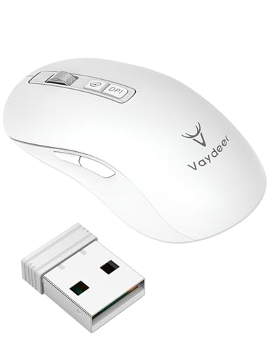 VAYDEER Mouse senza fili Jiggler – Mouse ricaricabile 2 in