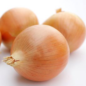 Unusual Rare French Heirloom Heritage Walla Wall Sweet Onion 100 Seeds. Certified French Organic Grower