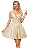 Lace Applique Homecoming Dresses for Teens 2025 Sparkly Tulle DAMA Dress for Quinceanera A-line V-Neck Short Prom Gown Champagne Size 6
