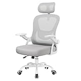 naspaluro Office Desk Ergonomic Chair with Flip-up Armrests/Headrest/Back Support Comfy Computer Small Heavy Duty Swivel Chairs for Home Office Comfortable Gray Study Work Mesh PC Chairs & Stools