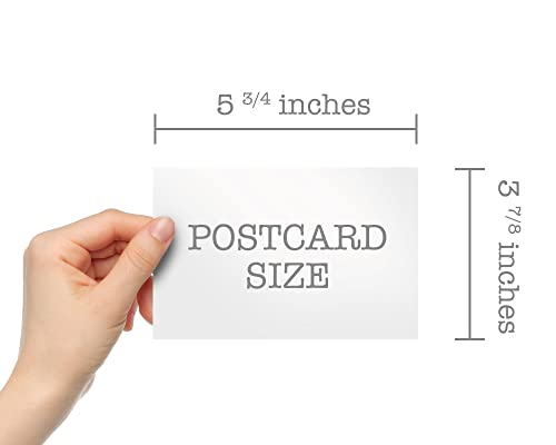 Hill Valley Greetings Cartões postais de Natal de presépio antigo - 24 cartões postais de Natal vint