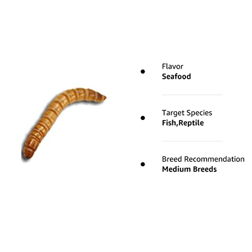 1000Ct Live Mealworms, Reptile, Birds, Chickens, Fish Food (Medium) #TOP1