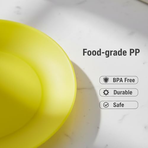 AOYITE 10 inch Plastic Plates Reusable - Lightweight Flat Dinner Plates set of 12 - BPA Free Dishwasher Safe & Microwave Hard Plates for Kids Kitchen Party Camping Outdoor
