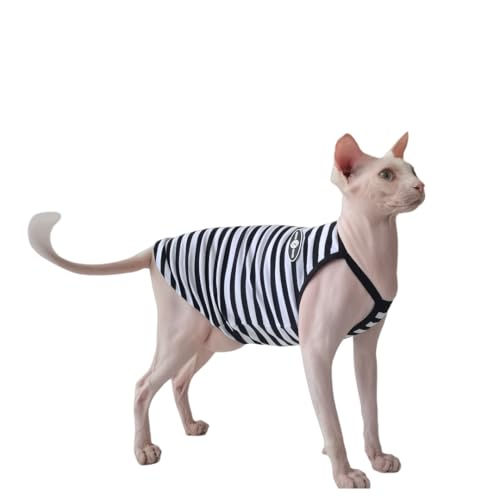 UGYMSIA ybg L єL t  L~\[Axr[RbgnARAM[AhAʋCAɗDA_炩KA󒲕AXtBNXAwAXLbgAf{̕ (ubÑXgCv,XL)