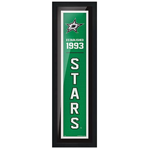 Dallas Stars 6x22 Established Framed Sign