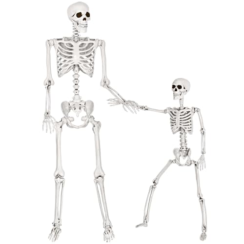 SpringFlower-54Ft-3Ft-Halloween-SkeletonFull-Body-Posable-Skeletons-Human-Plastic-Bones-with-Movable-Joints-Halloween-Decoration-Indoor-Outdoor-Yard-Lawn-Garden-Party-Decor