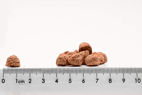 MAGNUSSONs Junior (1 x 10kg) | Hundetrockenfutter für Welpen und trächtige Hündinnen Aller Rassen | Alleinfuttermittel | Hoher Anteil an frischem Fleisch | Ofengebacken