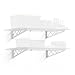 SafeRacks | Garage Wall Shelf Two-Pack 24"x48" | Includes Bike Hooks | 500lb Capacity (24"x48", White)