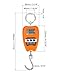 QWORK Hanging Weight Scale, 200kg/440lbs Digital Crane Scales Fish Weighing Scale Aluminum Housing LED Display Scale for Fishing, Weigh Luggage, Home Farm