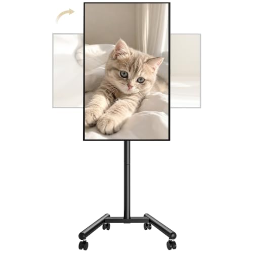 ECOTINY �e���r�X�^���h 13~50�C���`�Ή� �c����] �Ǌ� �ϐk �ړ��� �ω׏d30kg �������߉\ �p�x��] | �e���r�� VESA/75/100/150/200 ������ �n�C�^�C�v �ȃX�y�[�X TV�X�^���h �Ɨp ��� �w�Z �a�@ �r�W�l