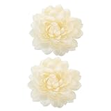 Photo Gallery gatuida 2 pezzi fibbia per nastro tende fermagli per tende ganci per tieback decorazione casa clip per tende adornare accessorio per tende fibbia per tende a fiori plastica blue Photo Gallery gatuida 2 pezzi fibbia per nastro tende fermagli per tende ganci per tieback decorazione casa clip per tende adornare accessorio per tende fibbia per tende a fiori plastica blue