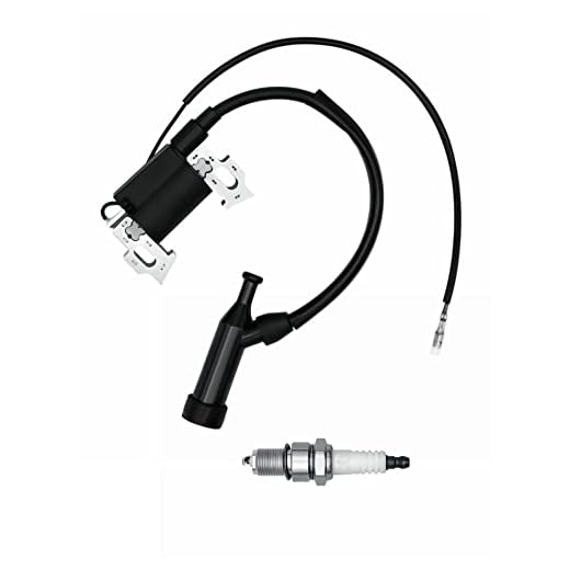 STRONGTHIUM 212cc 224cc GX160 GX200 Ignition Coil Assemlby