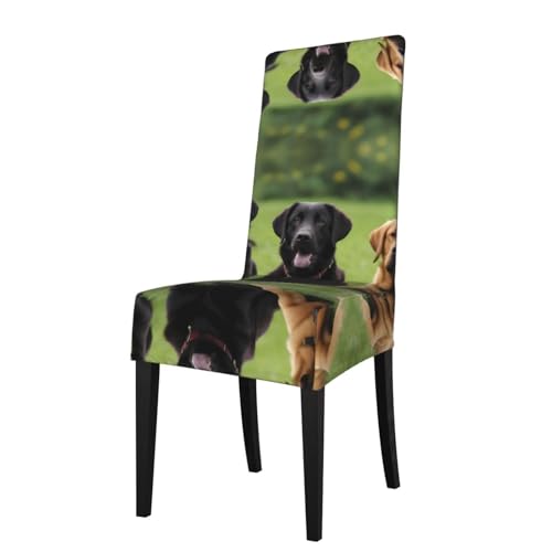 GGNKDL Les housses de chaise de restaurant imprimées Labrador Retriever sont amovibles, super élastiques et lavables, adaptées pour la cuisine