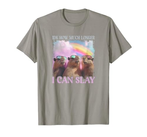 IDK How Much Longer I Can Slay - Capybara T-Shirt, Men, Slate Grey, Large