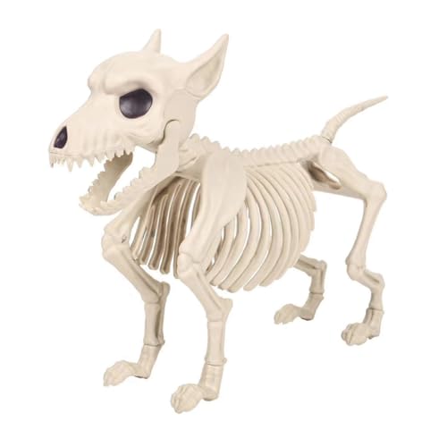 Squelette de chien d'Halloween avec articulations mobiles pour décorer le jardin