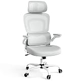 SOMEET Ergonomic Mesh Office Chair with Lumbar Support, High Back Office Chair with Flip-up Arms, Me