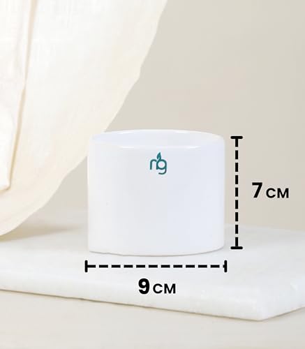 Image of Nurturing Green Combo of 2 White Ceramic Pots | Pots for Plants | Pots for Home Garden (Size: 3.5 Inch Wide*2.8 Inch High)