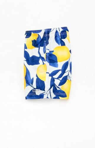 PacSun Men's Lemons Eco 4.5" Swim Trunks3