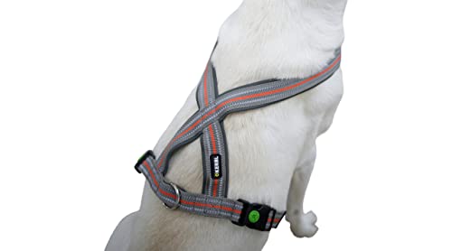 Kerbl Pet Xenos Harness 15 mm x 30-40 cm Grey/Red, grey|red, 15mmx 30-40cm - Image 2