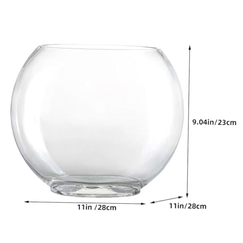 Aquarium de bureau pour poisson rouge : bocal transparent compact - 3