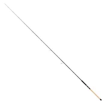 ロッド tailwalk KEISON specK Amazon | テイルウォーク (Tailwalk) サーモン/ビッグトラウト